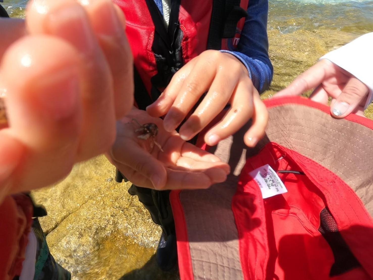 Coral Daire Onna Dış mekan fotoğraf